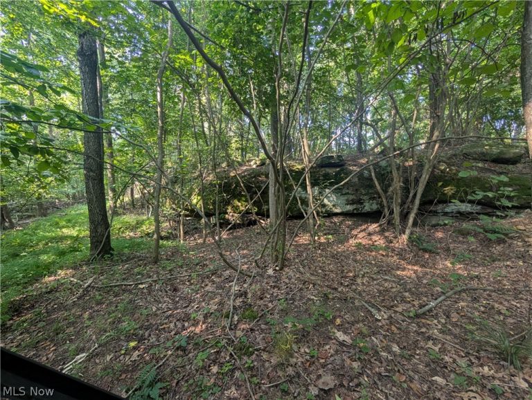 County Road 33, Warsaw, OH - Photo 8