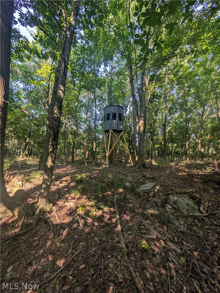 County Road 33, Warsaw, OH - Photo 6