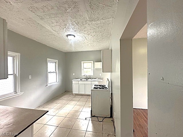 7205 Lawn Avenue, Cleveland, OH - Photo 5