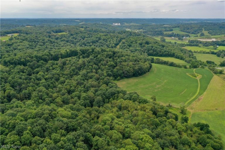 91695 Harrison Road, Scio, OH - Photo 8
