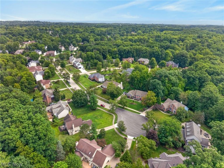 8753 Treetop Trail, Broadview Heights, OH - Photo 8