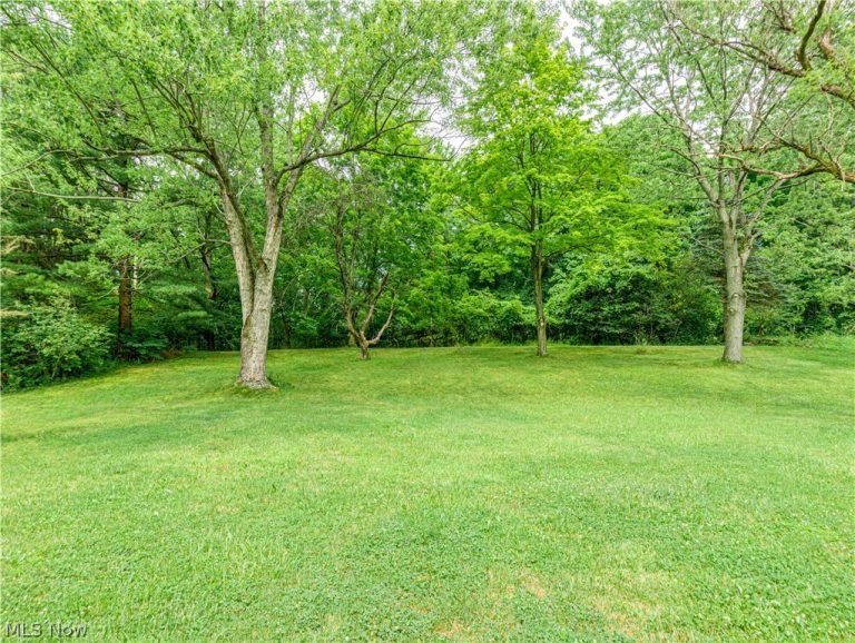 132 Parkview Drive, Aurora, OH - Photo 3