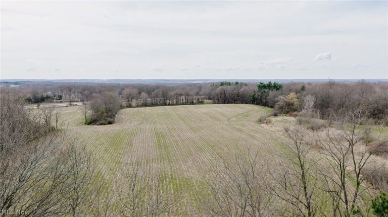 Canfield Niles Road, Canfield, OH, 44406