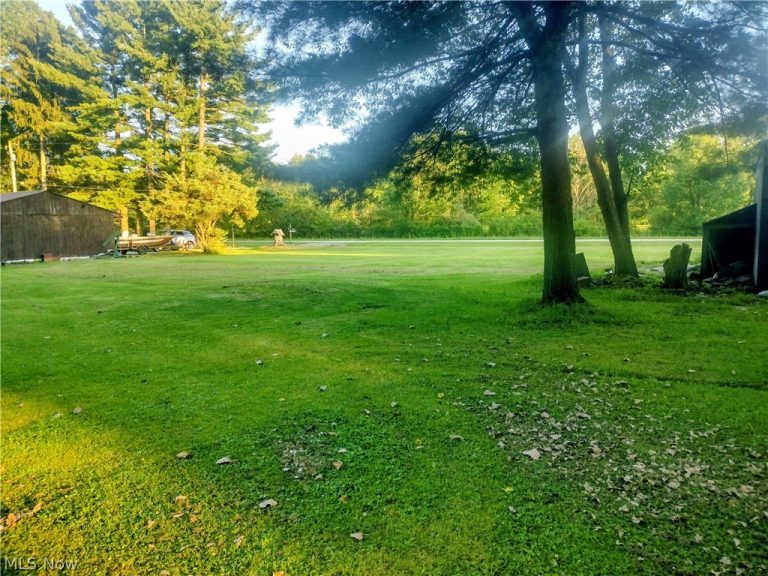 11566 Homestead Avenue, Alliance, OH - Photo 5