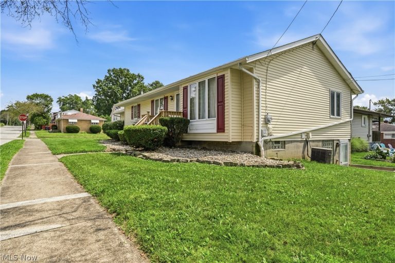 252 Clinton Avenue, Akron, OH - Photo 8