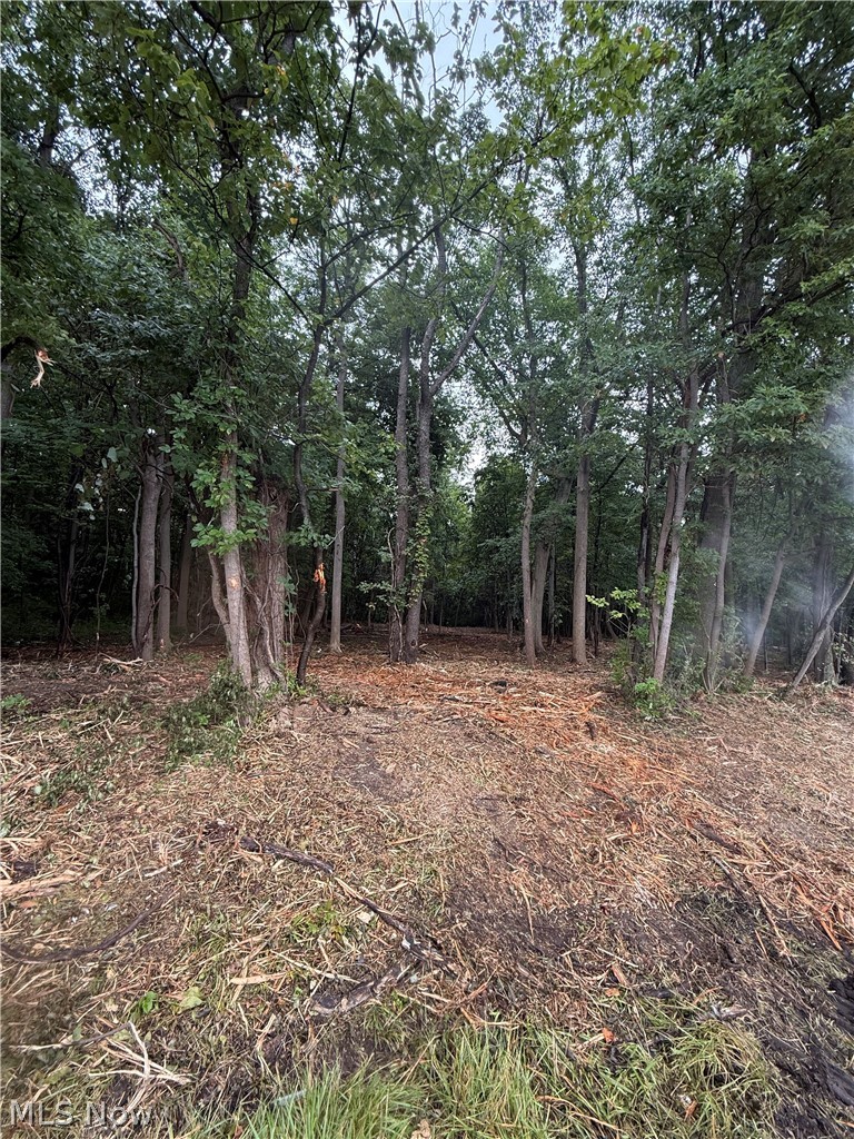 Greensburg Road, North Canton, OH - Photo 6