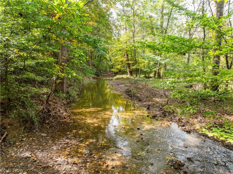 5871 State Rt 204, Mount Perry, OH - Photo 4