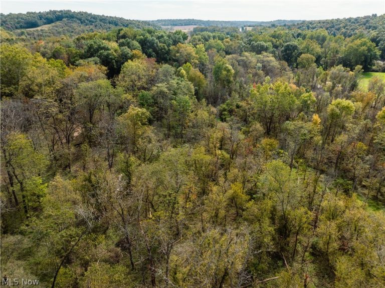 State Rt 204, Mount Perry, OH - Photo 4