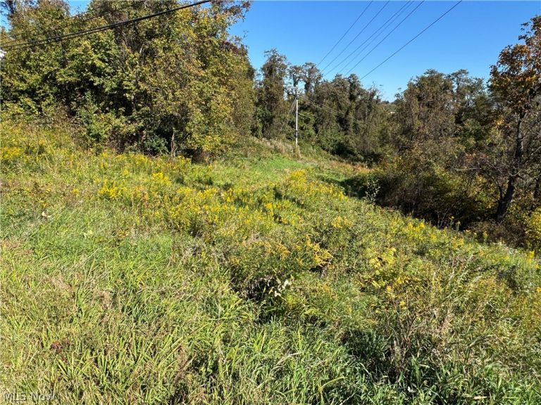 00000 Willow Grove Road, St Clairsville, OH - Photo 5