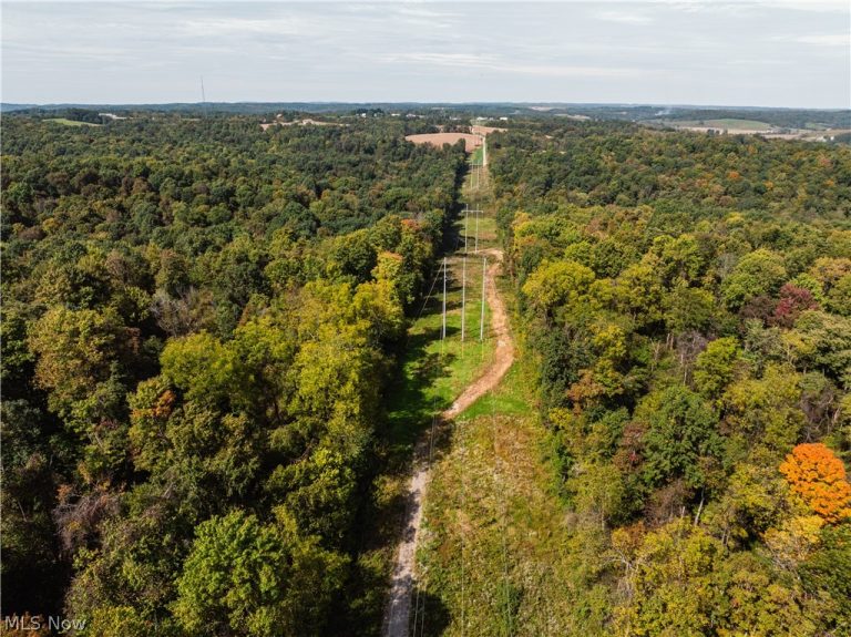 State Rt 204, Mount Perry, OH - Photo 3