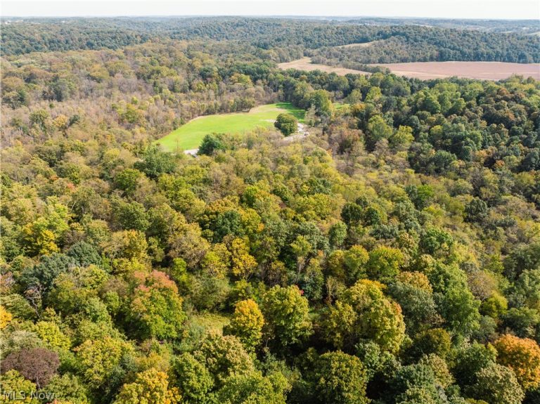 State Rt 204, Mount Perry, OH - Photo 6