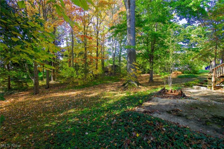 7466 Mountain Park Drive, Concord Twp, OH - Photo 4