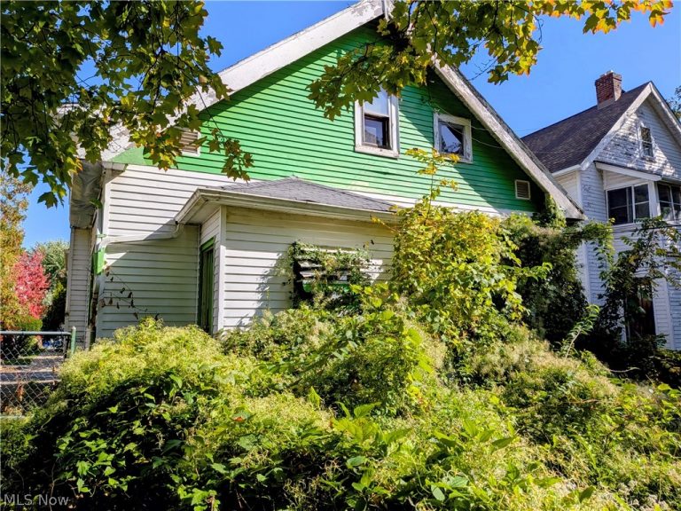 3584 133rd Street, Cleveland, OH, 44120