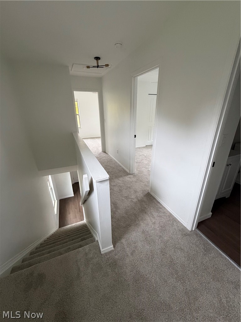 3443 104th Street, Cleveland, OH - Photo 8