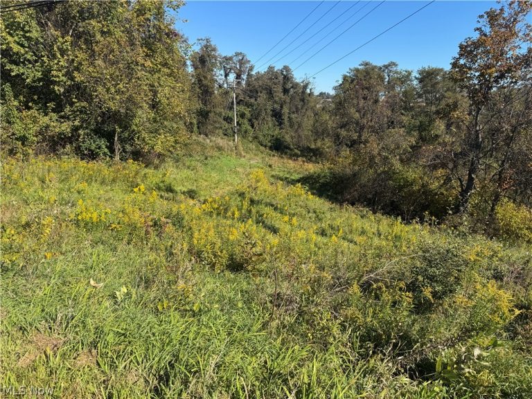 00000 Willow Grove Road, St Clairsville, OH - Photo 4
