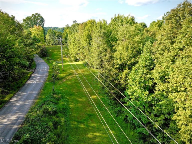 Virginia Ridge Road, Philo, OH - Photo 6