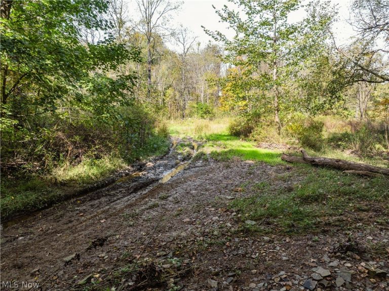 State Rt 204, Mount Perry, OH - Photo 4