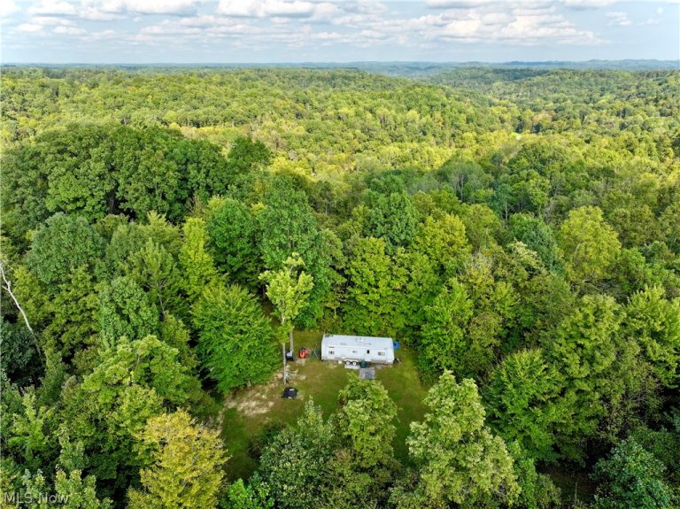 Virginia Ridge Road, Philo, OH - Photo 3