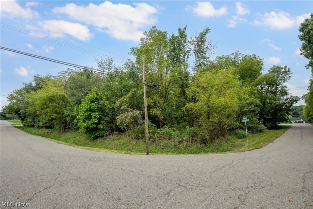 Carnegie Avenue, Massillon, OH