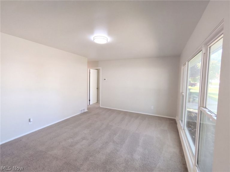 13807 Elsetta Avenue, Cleveland, OH - Photo 8