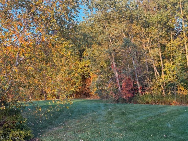 S/L 6 Walking Stick Lane, Chardon, OH - Photo 4