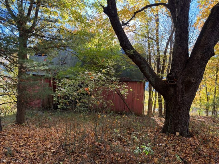 9239 Angel Valley Road, Stone Creek, OH - Photo 3