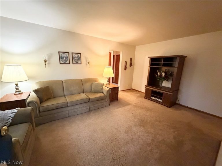 1501 Gypsy Lane, Niles, OH - Photo 6