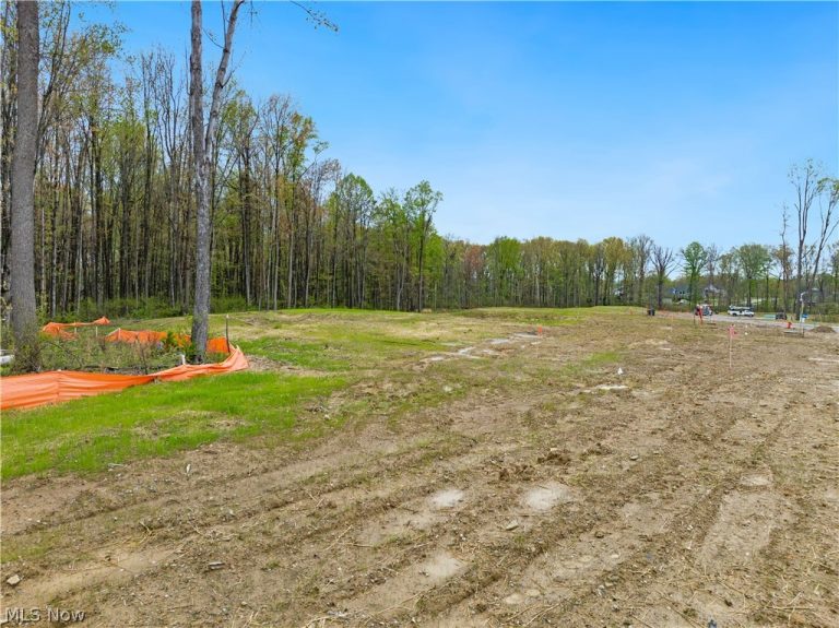 9523 River Birch Run, Brecksville, OH - Photo 4
