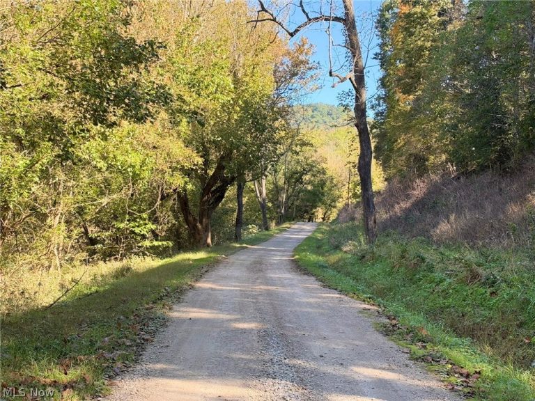 0001 Lock Five Road, Elizabeth, WV - Photo 5