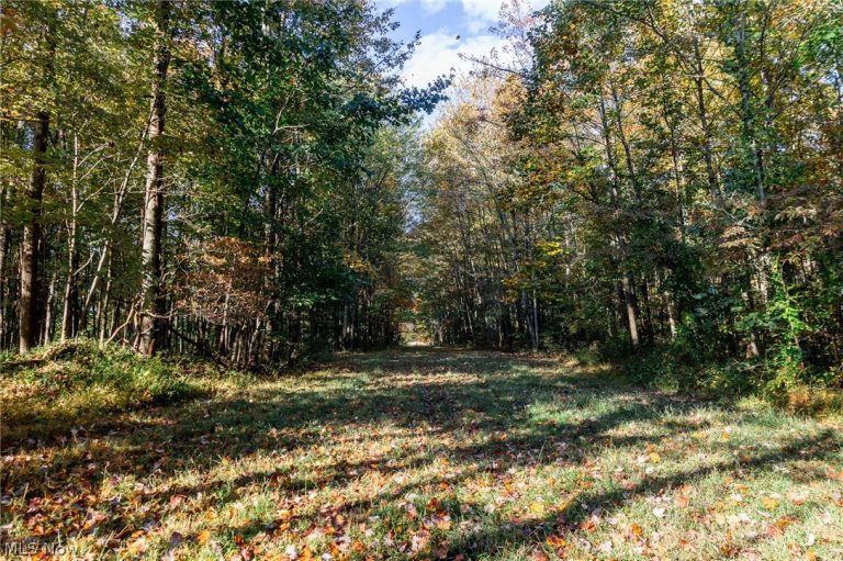 6985 Brush Run Road, Cambridge, OH - Photo 8
