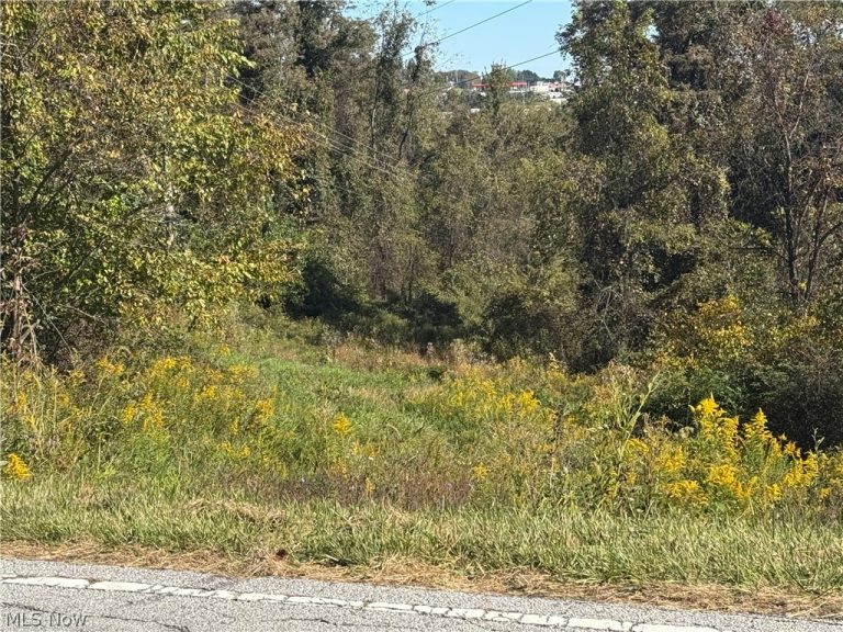 00000 Willow Grove Road, St Clairsville, OH - Photo 2