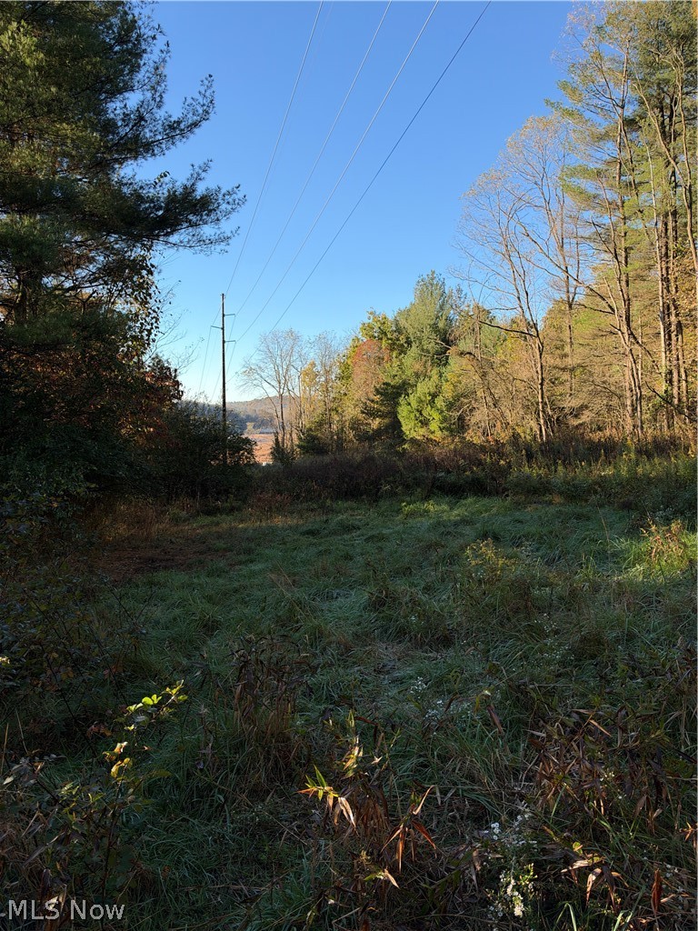 9239 Angel Valley Road, Stone Creek, OH - Photo 4