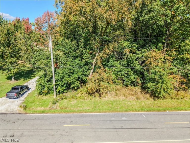 V/L Crocker Road, Columbia Station, OH - Photo 3