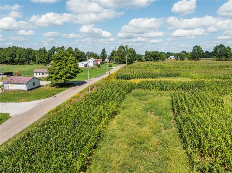 12472 Parmenter Rd, Burbank, OH - Photo 4