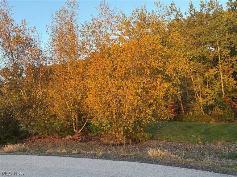 S/L 6 Walking Stick Lane, Chardon, OH - Photo 6