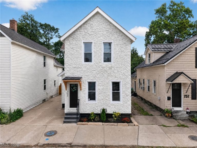 753 Brayton Avenue, Cleveland, OH, 44113