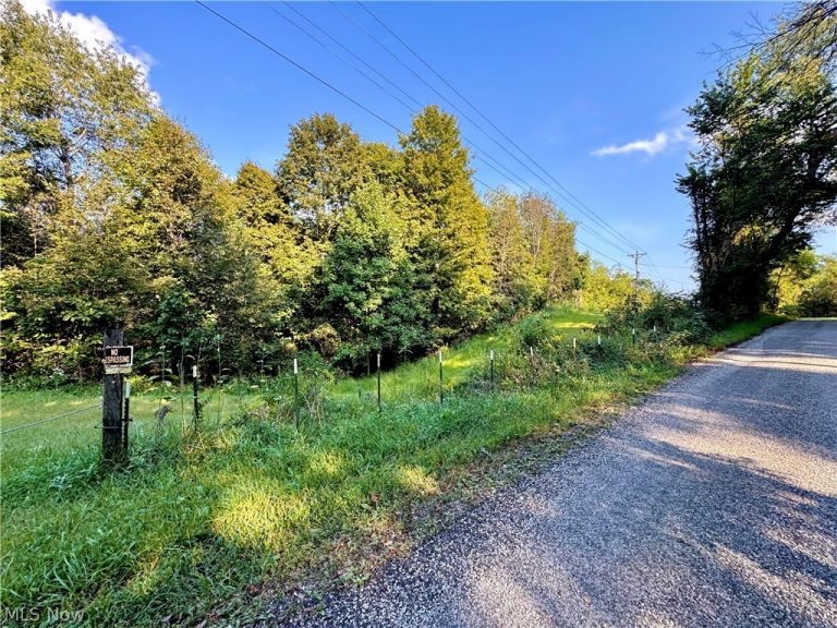 Virginia Ridge Road, Philo, OH - Photo 5