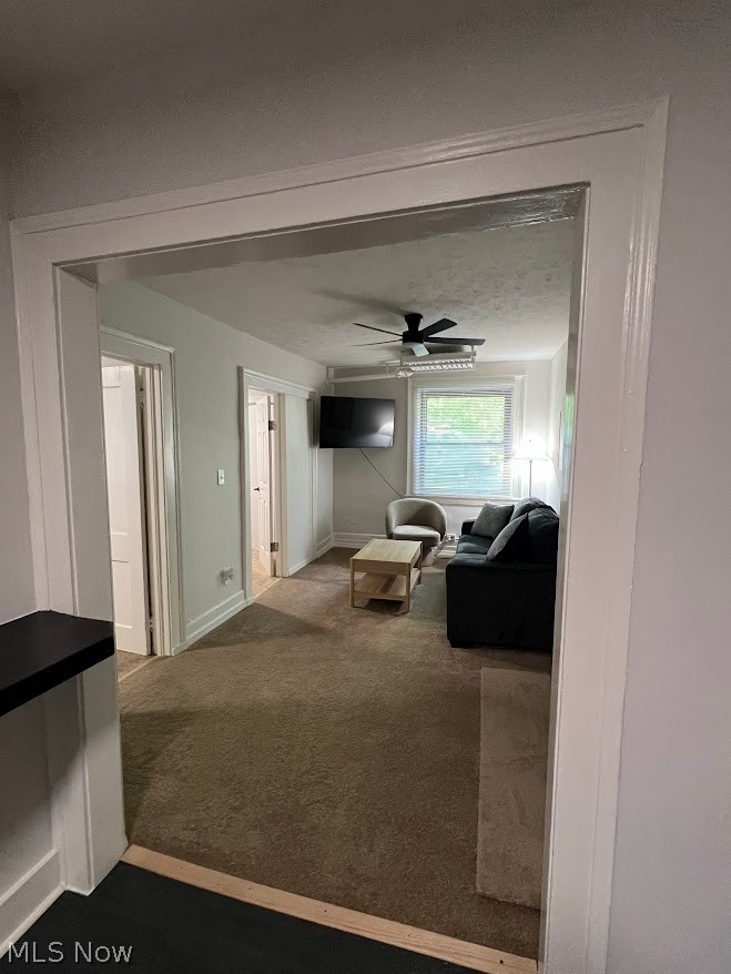 2617 Euclid Heights Boulevard #7, Cleveland Heights, OH - Photo 6
