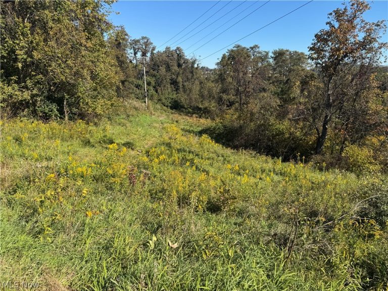 00000 Willow Grove Road, St Clairsville, OH - Photo 3