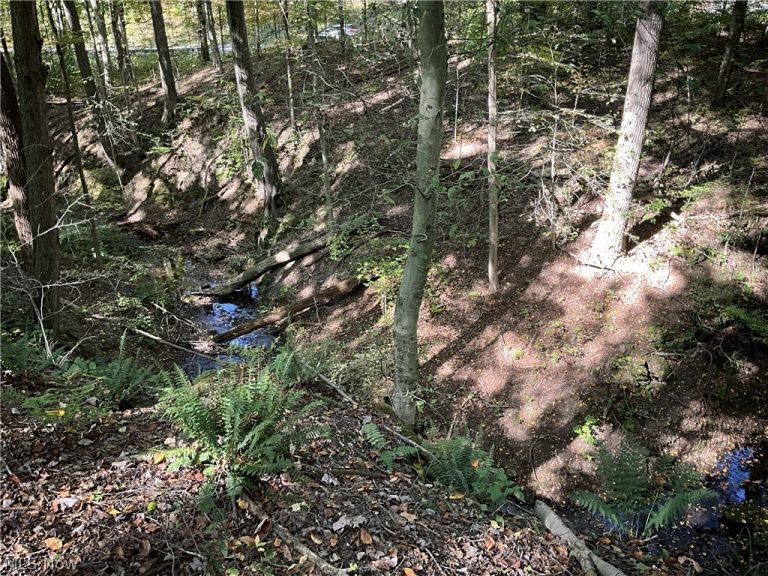 TR 2 Lot 7 Streetsboro Road, Richfield, OH - Photo 4