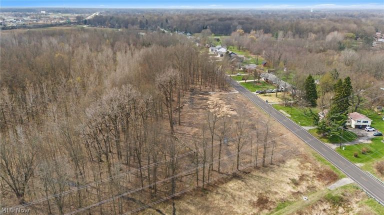 V/L Chestnut Ridge Road, North Ridgeville, OH - Photo 4