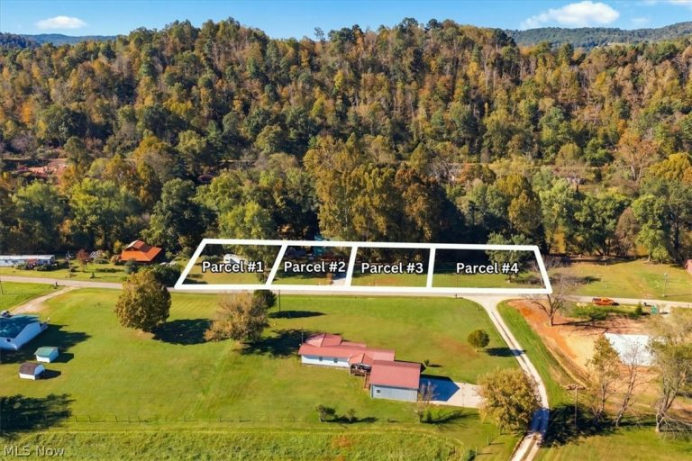 2854 Wells Lock Road, Elizabeth, WV - Photo 4