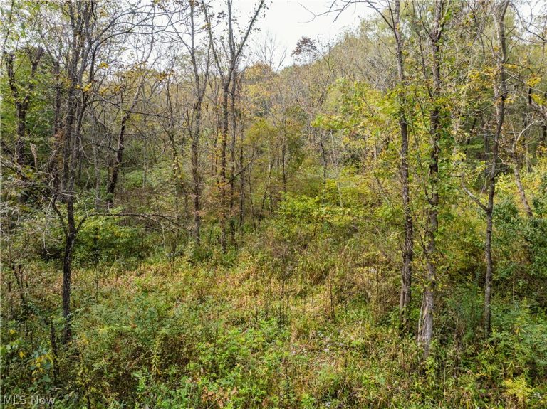 State Rt 204, Mount Perry, OH - Photo 3
