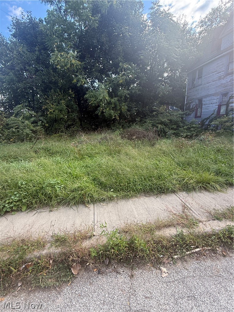 2103 81st Street, Cleveland, OH - Photo 6