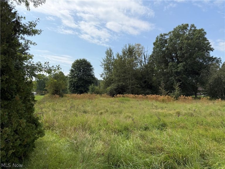 9552 Newton Falls Road, Ravenna, OH - Photo 4