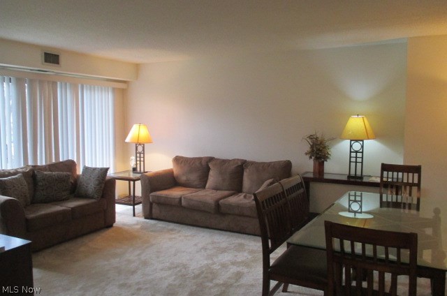 30 Severance Circle #205, Cleveland Heights, OH - Photo 5