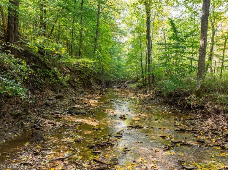 State Rt 204, Mount Perry, OH - Photo 5