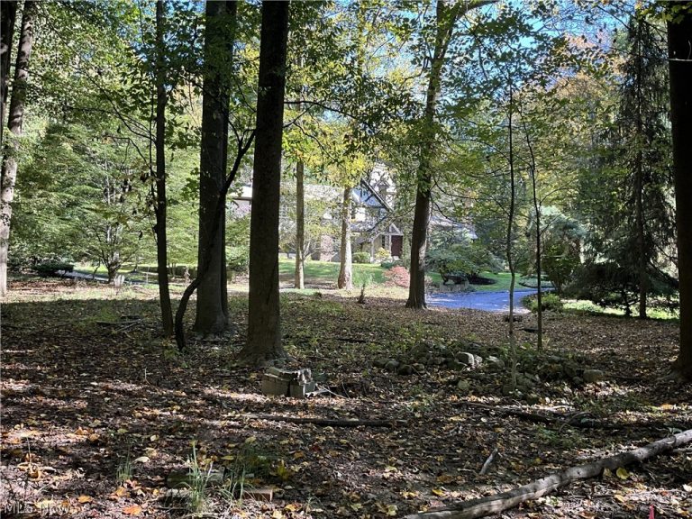 TR 2 Lot 7 Streetsboro Road, Richfield, OH - Photo 2