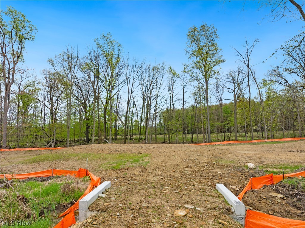 9528 River Birch Run, Brecksville, OH