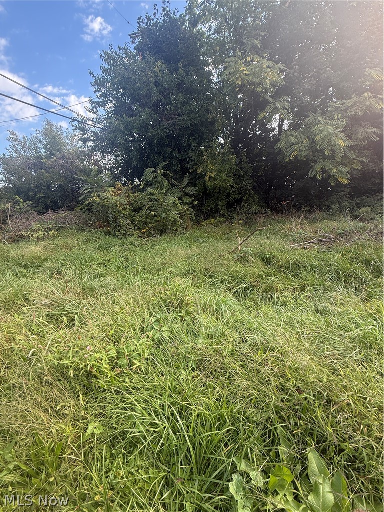 2103 81st Street, Cleveland, OH - Photo 3